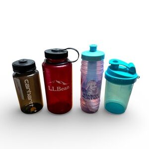 Y2K L.L. Bean Hannah Montana Carhart Water Bottle Set